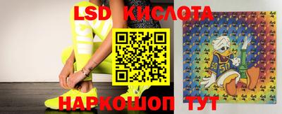 индика Абакан