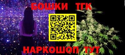 индика Абакан
