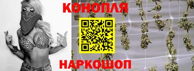 индика Абакан