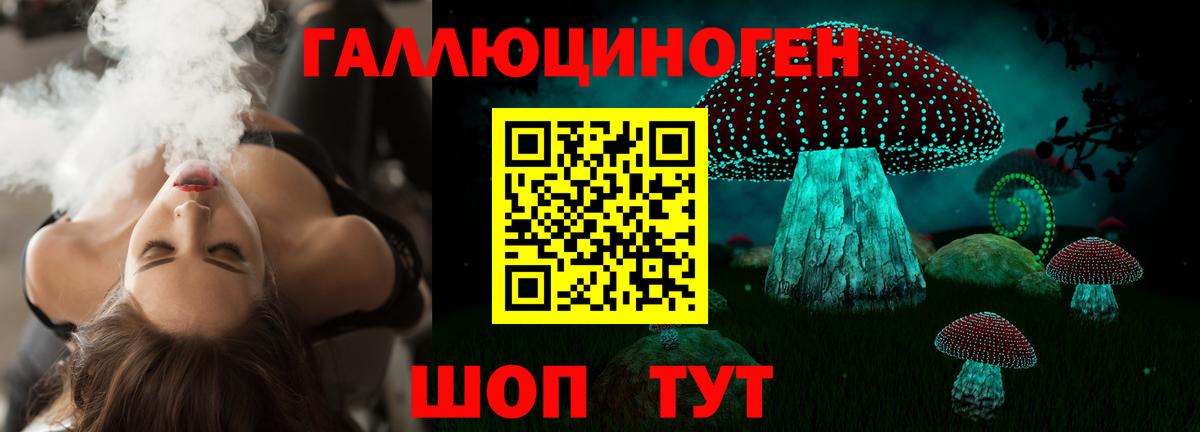 Галлюциногенные грибы Psilocybine cubensis Альметьевск